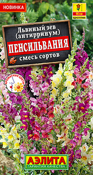 Семена&nbsp;Львиный зев Пенсильвания, смесь сортов<br>
 <br>
 Великолепная срезочная смесь с широкой палитрой окрасок цветков. Формирует крепкие ветвистые кустики высотой до 90 см с прочными цветоносами. Цветки крупные, ароматные, собраны в длинные кистевидные соцветия. Каждый цветок держится на растении до двух недель, а цветение кустика в целом продолжается до трех месяцев! Используют в среднем ярусе цветников, в рабатках, отлично подходят для выращивания в больших садовых контейнерах.<br>