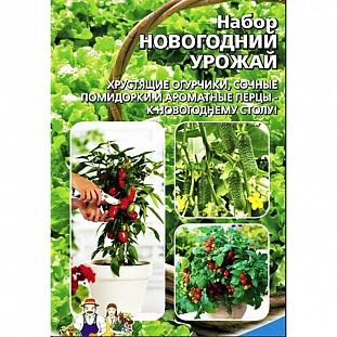 Семена Набор "Новогодний Урожай" Семена Набор "Новогодний Урожай"
