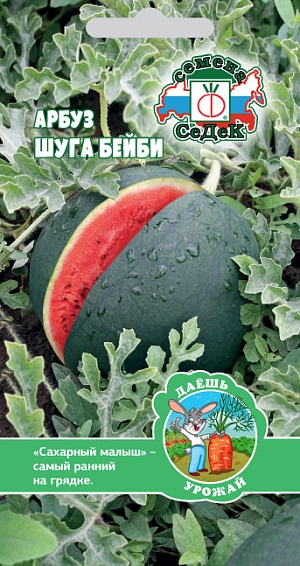 Семена Арбуз Шуга Бейби