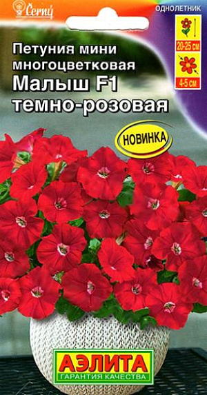 Семена&nbsp;Петуния мини Малыш F1 темно-розовая.&nbsp;Листвы почти не видно! Высаженные на постоянное место растения быстро образуют ветвистые компактные кустики диаметром 25-30 см. Множество ярких цветов-граммофончиков диаметром&nbsp; 4-5 см в течение всего сезона будут украшать ваши цветники и рабатки, балконные ящики и вазоны. Петунии лучше всего растут в рыхлой, питательной и влагоемкой почве. Периодические подкормки комплексным удобрением делают цветение более обильным. Центр куста не оголяется и растение не нуждается в формировании и прищипке. Гибрид устойчив к наиболее распространенным болезням культуры.