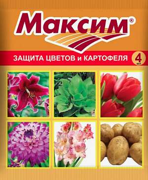Максим