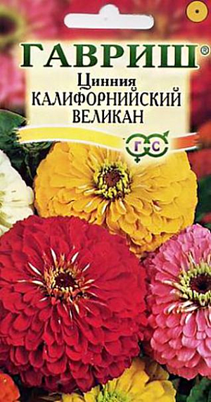 Семена Цинния Калифорнийский Великан.
Неприхотливое однолетнее растение семейства Сложноцветные высотой до 70 см. 
Плотные, похожие на георгины, розовые цветки сидят на прямых прочных стеблях.
Цинии светолюбивы, очень засухоустойчивы, но боятся заморозков. Высевают в апреле в ящики или в открытый грунт в мае, но цветение при этом наступает позже. 
В начале июня высаживают на расстоянии 20х30 см. Цветет с середины июня и до заморозков. Очень декоративна массивами и группами на газоне, используется для посадки на сборные цветники, рабатки, а также на срез для букетов. Неприхотливость, простота ухода, дружные всходы, долгое цветение в сочетании с разнообразием цвета и размера делают цинию весьма привлекательной для начинающих цветоводов.