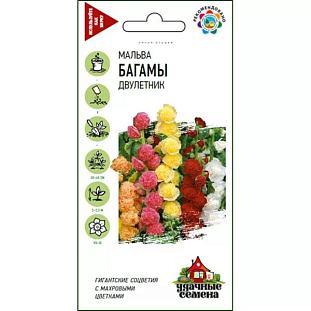 Семена Мальва Багамы Семена Мальва Багамы