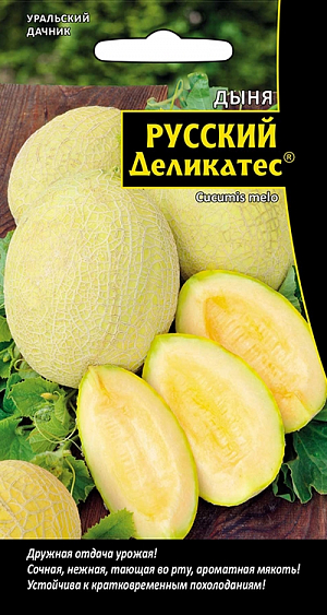 Семена Дыня Русский деликатес
