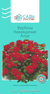 Семена Вербена Наваждение алое 
