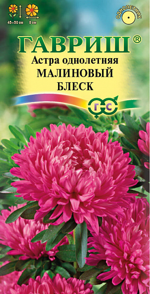 Семена Астра Малиновый блеск<br>
 <br>
 Растение высотой 45-50 см. Куст компактный, обратнопирамидальный. Соцветия махровые, очень изящные, диаметром 8 см, малиновой окраски. Для выращивания подходят хорошо освещенные участки с плодородной суглинистой или супесчаной почвой. Астры обладают высокой холодостойкостью – хорошо переносят заморозки до -3-4°C. Выращивают, чаще всего, рассадным способом. Используются для получения срезки и оформления участка.<br>