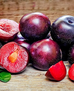 Саженцы Шарафуга Вельвет Санрайз