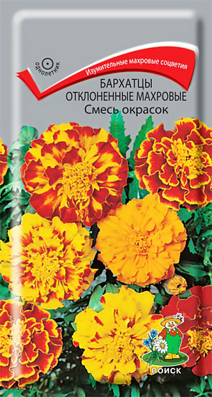 <div>
 Семена Бархатцы отклоненные махровые Смесь окрасок.
</div>
 Махровые соцветия изумительной красоты.&nbsp;Куст компактный, густооблиственный, высотой 25 см. Соцветия хризантемовидные, диаметром 4-5 см. Окраска соцветий разнообразная. Цветки в центре соцветия образуют выпуклый центр. Цветет с июля по октябрь. Используют для клумб, рабаток, бордюров и украшения балконов.<br>
 <br>
 <b>&nbsp;Агротехника.</b>&nbsp;Растение теплолюбивое, засухоустойчивое. Предпочитает солнечное местоположение, любые, хорошо дренированные почвы. Семена высевают в апреле-мае в рассадные ящики. Глубина заделки семян 0,5-1 см. При температуре почвы +18°C всходы появляются на 7-15 день. Через 2 недели сеянцы пикируют. В грунт рассаду высаживают после окончания весенних заморозков, выдерживая расстояние между растениями 20-30 см.&nbsp;