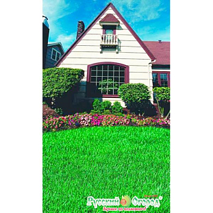 Семена Газон Коттедж универсальный газон