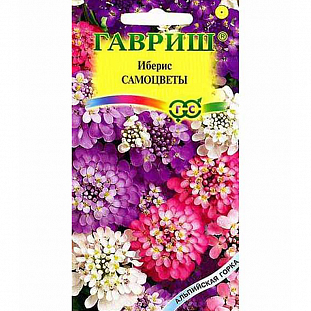 Семена Иберис Самоцветы