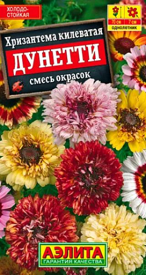 Семена Хризантема Дунетти смесь окрасок из каталога Хризантема Семена Хризантема Дунетти смесь окрасок.
Разноцветная смесь хризантемы килеватой с махровыми соцветиями. Формирует кусты высотой 60 см, хорошо разветвленные, цветущие с июля до поздней осени. Соцветия-корзинки крупные, 5-7 см в диаметре, душистые, на длинных, прочных цветоносах. Неприхотливое растение – холодостойкое, относительно засухоустойчивое, отлично растет из семян. Используется для украшения цветников и на срезку. Агротехника. Посев семян в открытый грунт или на рассаду в апреле. Растения зацветают примерно через 10 недель от полных всходов. Хризантема килеватая хорошо развивается на легких, плодородных, известкованных почвах, на солнечном месте. Растениям необходимы регулярные поливы, прополки, рыхления и подкормки. Своевременное удаление отцветших соцветий обеспечит долгое, обильное цветение.