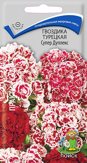 Семена Гвоздика Супер Дуплекс турецкая.
Очаровательная махровая смесь. Кустик высотой 50 см. Листья линейно-ланцетные, зеленые. К концу 1-го года выращивания образуется розетка прикорневых листьев. На следующий год растения цветут с конца июня в течение месяца. Используют для сборных цветников, рабаток и для срезки.
Агротехника. Растение холодо- и засухоустойчивое, предпочитает солнечное место, но может расти и в полутени. Хорошо растёт на плодородных дренированных почвах. Посев семян производят в мае-июне в открытый грунт на разводочные гряды, слегка присыпав их влажным песком. При температуре почвы +18-20°С всходы появляются через 10-14 дней. На постоянное место рассаду высаживают в августе, выдерживая расстояние между растениями 25-30 см. Можно размножать отводками весной и осенью