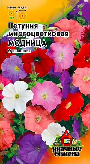 Семена Петуния Модница многоцветковая.<br>
Привлекательная смесь сортов высотой 30-50 см. Рекомендуется для оформления цветников, среднерослых бордюров, цветущих массивов на газонах. Цветки разнообразной окраски, 5,5-6,5 см в диаметре с гладким краем лепестков. Петуния светолюбива и достаточно засухоустойчива. Предпочитает легкие, плодородные, хорошо дренированные почвы. Растения быстро восстанавливают декоративность после сильного дождя. Для более пышного цветения завядшие цветки удаляют.