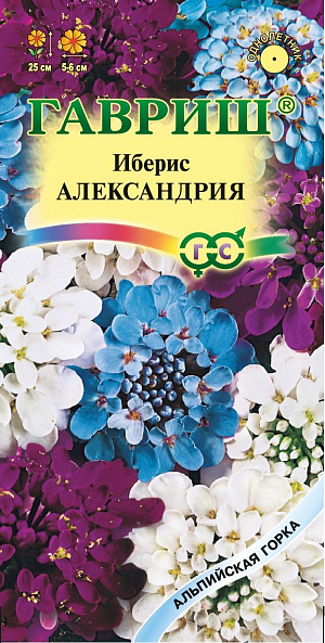 Семена Иберис Александрия<br>
 <br>
 Однолетние низкорослые растения высотой&nbsp; 25 см, за короткий срок разрастаются и образуют шапки ароматных зонтиковидных соцветий (диаметром 5-6 см) разнообразных окрасок, преимущественно&nbsp; фиолетовых и голубых тонов. Неприхотлив, зимостоек, предпочитает дренированные легкие&nbsp; суглинистые почвы на хорошо освещенных местах. Рекомендуется для бордюрных обсадок, миксбордеров, рокариев, оформления края садовых дорожек.<br>