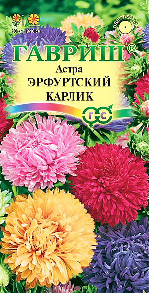 Семена Астра Эрфуртский Карлик.
Растение высотой до 30 см. Соцветия темно-синей, огненно-красной, голубой, карминно-красной, нежно-розовой и белой окраски, 8-10 см в диаметре.
Для выращивания подходят хорошо освещенные участки с плодородной суглинистой или супесчаной почвой. 
Астры обладают высокой холодостойкостью - хорошо переносят заморозки до -3-4 С. 
Выращивают, чаще всего, рассадным способом. Семена высевают в марте-апреле, пикируют с развитием первой пары настоящих листочков по схеме 5х5 см, в открытый грунт рассаду высаживают с середины мая до начала июня. Возможен подзимний посев астр: в конце октября на глубину 5-8 см. Сверху посевы мульчируют торфом или опилками на высоту 3-5 см. Весной (в конце марта-начале апреля) посевы раскрывают. появившиеся в конце апреля всходы будут закаленными, а выросшие растения сильными, устойчивыми к заморозкам и обильно цвести.
Используются для получения срезки и оформления участка.