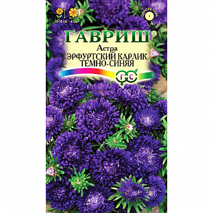 Семена Астра Эрфуртский карлик Темно-синяя
