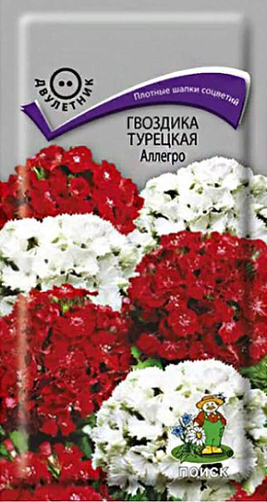 Семена&nbsp;Гвоздика Турецкая Аллегро.&nbsp;Кустик высотой 50 см. Листья линейно-ланцетные, зеленые. К концу 1-го года выращивания образуется розетка прикорневых листьев. На следующий год растения цветут с конца июня в течение месяца. Используют для сборных цветников, рабаток и для срезки.<br>
 <br>
&nbsp;Агротехника.&nbsp;Растение холодо- и засухоустойчивое, предпочитает солнечное место, но может расти и в полутени. Хорошо растёт на плодородных дренированных почвах. Посев семян производят в мае-июне в открытый грунт на разводочные гряды, слегка присыпав их влажным песком. При температуре почвы +18-20°C всходы появляются через 10-14 дней. На постоянное место рассаду высаживают в августе, выдерживая расстояние между растениями 25-30 см.