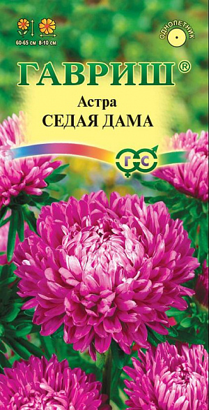 Семена Астра Седая Дама.
Карминно-красные пионовидные соцветия диаметром 8-10 см с ярким акцентом — белой продольной полосой на язычковых цветках. 
Куст компактный с прочными цветоносами, высотой 30 см. Цветение раннее, обильное и продолжительное. 
Для выращивания подходят хорошо освещенные участки с плодородной суглинистой или супесчаной почвой. 
Выращивают, чаще всего, рассадным способом. Семена высевают в марте-апреле, пикируют с развитием первой пары настоящих листочков по схеме 5х5 см, в открытый грунт рассаду высаживают с середины мая до начала июня. Возможен посев семян в открытый грунт ранней весной или под зиму с последующим мульчированием торфом или опилками. 
Низкорослые астры серии Риббон станут достойным украшением ваших балконов, вазонов, бордюров, цветников и патио-садиков.