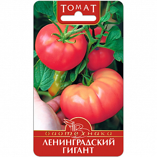 Семена Томат Ленинградский Гигант (крупноплодный)