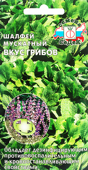 Семена Шалфей мускатный Вкус грибов
