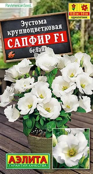 Редкий, невероятно гармоничный и изысканный цветок американской селекции от компании Pan American Seed, который можно с успехом вырастить дома! Растения генетически низкорослые, не требуют прищипок и формирования, сохраняют компактную форму на протяжении вегетации. Кустики прямостоячие, хорошо разветвленные, высотой 15-20 см и шириной 10-15 см. Цветение пышное, на каждом растении закладывается около 20 бутонов. Постепенно они раскрываются в крупные, нежные цветки ? 6-8 см. После цветения побеги можно обрезать, оставляя по две пары листьев, и тогда через 1-1,5 месяца оно повторится вновь.<br>
 <br>
 &nbsp;Семена в гранулах! Гранулы располагают на поверхности почвы, не заделывая их, хорошо увлажняют из распылителя. При попадании влаги на гранулу оболочка должна раствориться. Посевы накрывают стеклом для сохранения постоянной влажности до полных всходов. Посевам необходимо обеспечить стабильную освещенность не менее 16 часов в сутки.<br>