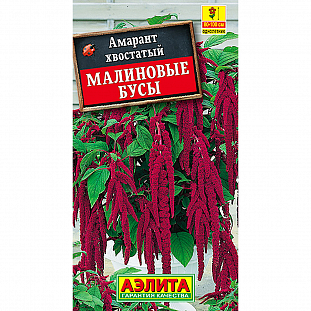 Семена Амарант Малиновые бусы