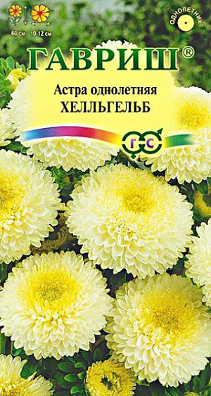 Семена Астра Хелльгельб светло желтая<br>
 <br>
 Помпонная. Куст пирамидальной формы высотой 60 см. Соцветия светло-желтой окраски, 10-12 см в диаметре. Для выращивания подходят хорошо освещенные участки с плодородной суглинистой или супесчаной почвой. Астры обладают высокой холодостойкостью – хорошо переносят заморозки до -3-4оС. Выращивают, чаще всего, рассадным способом. Используются&nbsp; для получения срезки и оформления участка.<br>