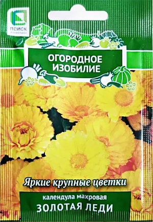 Календула Золотая леди

Яркие крупные цветки.
Куст густоветвистый, высотой до 60 см. Соцветия махровые, золотисто-желтые, диаметром 7-8 см. Используют для клумб, рабаток, бордюров и срезки.