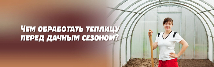 КАКИЕ СРЕДСТВА БОРЬБЫ ОТ ВРЕДИТЕЛЕЙ И ГРИБНЫХ БОЛЕЗНЕЙ И КАК ПРИМЕНЯЮТ В ТЕПЛИЦАХ В КОНЦЕ АПРЕЛЯ – НАЧАЛЕ МАЯ