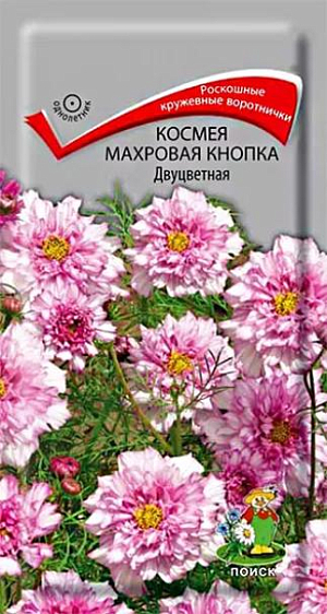 Семена&nbsp; Космея Махровая кнопка Двуцветная. Декоративное растение с ажурными сильнорассеченными листьями, высотой около 80 см. Соцветия – махровые корзинки диаметром 7-10 см на крепких стеблях. Великолепно выглядят на клумбах и в бордюрах, особенно большими массивами. Прекрасный материал для срезки.<br>
 <br>
 &nbsp;Агротехника. Растение светолюбивое, холодостойкое. К почвам не требовательно, но лучше растет на легких почвах. Посев семян производят в апреле-мае непосредственно в открытый грунт. Для более раннего цветения возможен посев на рассаду в марте. Глубина заделки семян 1 см. При температуре почвы +18°C всходы появляются через 8-14 дней. Расстояние между растениями 30-35 см.<br>
