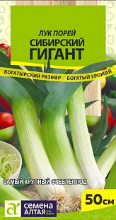 Семена Лук порей Сибирский Гигант