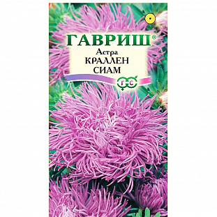 Семена Астра Краллен Сиам