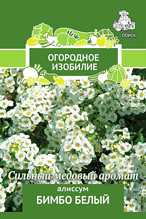 Семена Алиссум Бимбо белый.
Нежный аромат. Миниатюрное растение с мелкими цветками с медовым запахом. Растение невысокое, до 20-25 см
Образует плотный, стелющийся ковёр белого цвета. Листья узкие, ланцетные. 
Используют для обрамления клумб, балконных ящиков, на каменистых горках, рокариях, для посадки между плитками дорожек.
Посев: май или под зиму
Глубина посева: 0.5 см
Время цветения: с июня до осени
