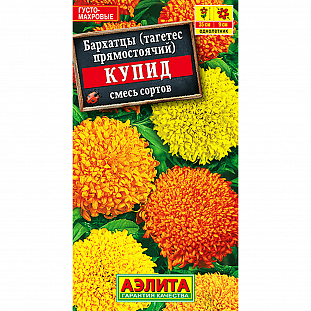 Семена Бархатцы Купид хризантемовидные, смесь сортов