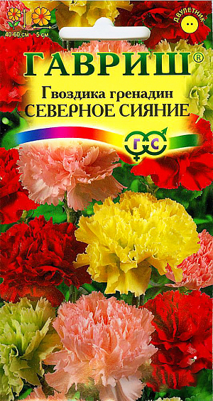 Семена Гвоздика садовая Гренадин Северное Сияние смесь. Травянистое многолетнее растение, выращиваемое как двулетник. Развивает прикорневую розетку узколинейных листьев и крепкие, облиственные коленчатые стебли. Листья и стебли покрыты серебристо-сизым налетом. Цветки простые или махровые, ветвистыми стеблями, высотой до 15 см, растет в виде плотной дернинки. Листья тонкие, зеленые. Цветки душистые, белые, одиночные, до 2 см в диаметре, с перисто-бахромчатыми лепестками. Цветет со второй половины июля до сентября. Хорошо растет на освещенных участках с легкой почвой, отлично выносит засуху. <br>
 <br>
Посев - в начале мая или под зиму на постоянное место в открытый грунт. При выращивании через рассаду высевают в феврале-марте в горшки. В фазе 2-3-х пар настоящих листочков сеянцы пикируют. Высаживают в грунт группами по схеме 15х15 см. Идеально подходит для оформления каменистых садиков, бордюров.