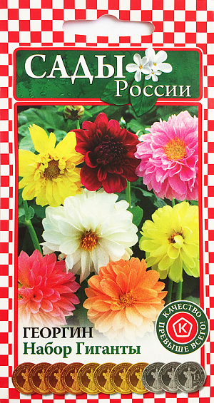 Семена Георгина Набор Гиганты.
Любимые всеми жизнерадостные приверженцы тепла и света, хорошо известные «весёлые ребята». Набор ГИГАНТЫ – нарядный и звонкий «вокальный ансамбль» из махровых и полумахровых цветков белых, нежно-розовых, золотисто-жёлтых, лососевых, абрикосовых, кораллово-красных, карминных и насыщенных пурпурно-вишнёвых оттенков. Растения высокие, стройные, с прочными цветоносами и шикарными ярко-зелёными листьями. Очень обильно цветут с июля до заморозков.
