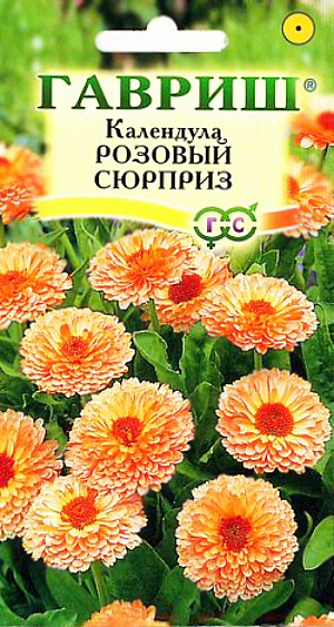 Семена Календула Розовый сюрприз махровая.
Очень популярный неприхотливый, холодостойкий однолетник семейства Сложноцветные. Светолюбивое и засухоустойчивое растение высотой 50-60 см, ветвистое, компактное. Соцветия крупные, 7-10 см диаметром, густомахровые, черепитчатые, перламутрово-розовой окраски. Сроки посева растянуты с апреля до октября. Для ускорения цветения сеют в апреле на рассаду, в мае - прямо в грунт гнездами на расстоянии 15-25 см; в течение лета - для более позднего цветения. Под зиму высевают для цветения в июне. Цветет через 45-50 дней после появления всходов. Легко размножается самосевом. Календулу широко используют в озеленении и на срез, в лекарственных и пищевых целях.