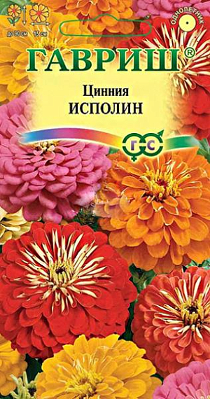 Семена Цинния Исполин.
Смесь высокорослых крупноцветковых цинний для элитного оформления сада. 
Серия «Исполин» отличается чрезвычайно обильным и продолжительным цветением, прочными ветвящимися цветоносами, чистыми и стойкими к выгоранию тонами соцветий. 
Формирует приподнятые, разветвленные кусты высотой до 90 см. Соцветия георгиновидные, крупные, различных тонов, 15 см в диаметре, с высокой устойчивостью к неблагоприятным погодным условиям. Цветет с июня до заморозков. Циннии светолюбивы, засухоустойчивы и теплолюбивы; отзывчивы на полив, без длительного полива снижается интенсивность цветения и уменьшается размер соцветий. Выращивают рассадным способом. 
Семена высевают в апреле. Всходы появляются через 4-6 дней. В начале июня растения высаживают на расстоянии 20 см.