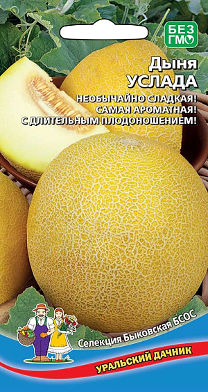 Семена Дыня Услада