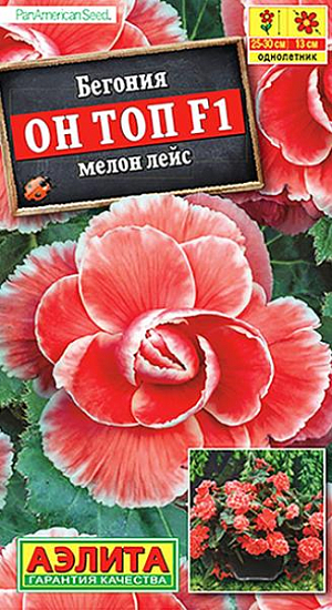 Семена Бегония Он Топ F1 мелон лейс.<br>
 <br>
 Эксклюзивный гибрид американской селекции от компании PanAmerican Seed. Роскошными густомахровыми цветками диаметром до 13 см. в открытом грунте можно любоваться все лето. При выращивании в горшках бегония цветет с апреля по ноябрь. Растение имеет кустовой габитус. Высота и ширина куста 25-30 см. Данная бегония более терпима к жаре и обилию солнечного света, зацветает раньше и цветет дольше по сравнению с другими сортами и гибридами. К концу вегетации формируются клубни диаметром 4-6 см., которые можно сохранить зимой при температуре не выше +10 °С и использовать для посадки в следующем сезоне.<br>
 <br>
 &nbsp;Семена в гранулах! Гранулы располагают на поверхности почвы, не заделывая их, хорошо увлажняют из распылителя. При попадании влаги на гранулу оболочка должна раствориться. Посевы накрывают стеклом для сохранения постоянной влажности до полных всходов. Всходам требуется подсветка, но не более 10 часов в сутки.<br>