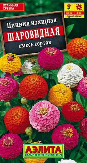 Семена Цинния Шаровидная смесь окрасок.
Смесь окрасок обильноцветущей циннии с густомахровыми соцветиями диаметром 6-8 см. Кусты быстрорастущие, мощные, ветвистые, высотой до 50 см. Цветение раннее и продолжительное, с начала лета и до первых заморозков. Растения теплолюбивые, засухоустойчивые, предпочитают солнечное местоположение. Хорошо переносят воздействие дождя и ветра. Используются в групповых и одиночных посадках в цветниках. Отлично подходят для срезки, цветы долго стоят в воде. Агротехника. Выращивают рассадным способом. С развитием первой пары настоящих листочков сеянцы пикируют. В фазе 5-6 листьев проводят формирующую прищипку. Рассаду высаживают в открытый грунт, когда минует опасность заморозков. Растениям необходимы регулярные поливы, прополки, рыхления и подкормки. Возможен посев семян в открытый грунт на глубину1 см.