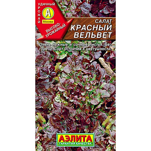 Семена Салат листовой Красный вельвет
