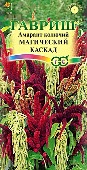 Семена Амарант Магический каскад, смесь<br>
 <br>
 Однолетнее травянистое растение, фееричная смесь амарантов c мощным стеблем, высотой до 100 см. Цветки мелкие темно-красные, малиновые, зеленые собраны в сложные, разнообразной формы, длинные соцветия, поникающие, колосовидные, ветвистые метелки. Листья крупные, цельные, эллиптические, расположенные очередно или супротивно, имеют длинные черешки. Растение теплолюбивое, не переносит заморозков, хорошо растет на солнечных, защищенных от ветра участках с плодородной, дренированной и достаточно увлажненной почвой. Цветет с июня до заморозков.&nbsp;<br>