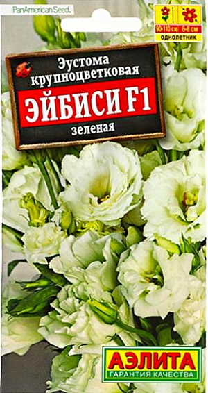 Семена&nbsp;Эустома крупноцветковая махровая Эйбиси F1 зеленая. <br>
Воздушная эустома - идеальный цветок для букета.&nbsp; Растение стройное, высотой 90-110 см, с зелено-сизой листвой восковой фактуры. Верхняя часть стебля сильно ветвится и образует массу бутонов, которые раскрываются поочередно. Цветки густомахровые, 6-8 см, с широкими лепестками, на крепких, длинных цветоносах. Гибрид эустомы восхищает красивыми цветками, а также удивляет необыкновенной стойкостью букетов в вазе. Растение подходит для выращивания в открытом грунте, в высоком пленочном тоннеле и в теп лице (круглогодично).