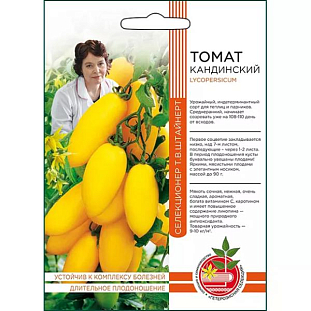 Семена Томат Кандинский