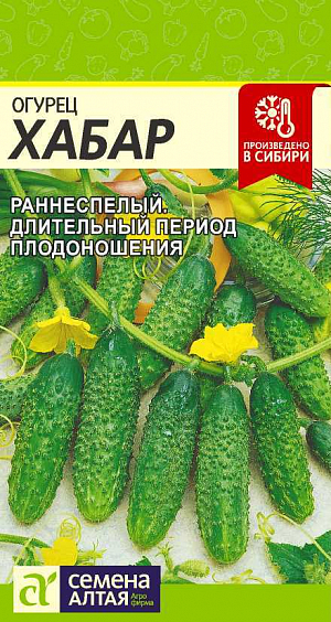 Семена Огурец Хабар