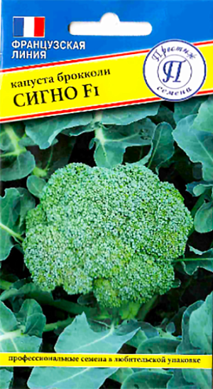 Семена Капуста брокколи Сигно F1