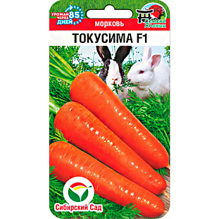Морковь Токусима F1 