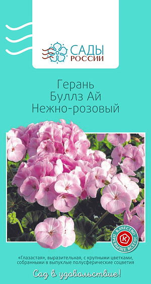 Герань Буллз ай Нежно-розовый

Вас впечатлит цветение этой серии. Это, пожалуй, самые крупные соцветия, которые вам довелось видеть. Шаровидные и плотные, они достигают в диаметре 16 см! Листва шоколадного цвета со светло-зеленой каймой. Легко выращивается и долго цветет. Благодаря коротким цветоносам устойчива к ветру и дождям.