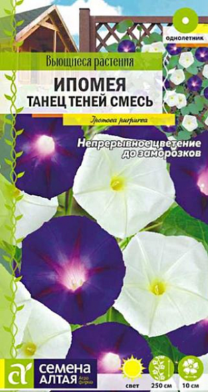 Семена Ипомея "Танец теней" смесь.<br>
 Яркая контрастная смесь! Однолетняя травянистая лиана, достигающая в длину 2,5 м. Одно из лучших растений для вертикального озеленения, украшенное крупными, до 10 см в диаметре, воронковидными цветками белой и тёмно-фиолетовой окраски с характерными фиолетовыми стрелами, фоном для которых служит яркая зелень сердцевидных листьев. Одна из наиболее выносливых разновидностей, прекрасно растущая в умеренном климате и цветущая непрерывно с июля до заморозков. Послужит отличным декором для различного рода построек, оград, украсит беседки и перголы. Обвивая вертикальные опоры, образует великолепные цветущие ковры, создавая спасительную тень и скрывая Вас от посторонних глаз. Свето- и теплолюбивое, засухоустойчивое растение, не переносит заморозков. Предпочитает защищенные от зноя и ветра солнечные участки с рыхлыми питательными почвами без застоя влаги. Растениям необходима прочная опора.<br>
 <br>
Посевы на рассаду проводят в апреле. Ипомея плохо переносит пересадку, поэтому при рассадном способе выращивания используют торфяные горшочки. Перед посевом семена замачивают на 2-3 часа в горячей воде (до +50С) для набухания. В открытый грунт на постоянное место рассаду высаживают в конце мая - начале июня. Посевы в открытый грунт проводят во второй половине мая по 2-3 семечка в лунку, глубина заделки семян 0,5-1 см. Посадочный интервал – 25-30 см. При температуре воздуха +18-20°С всходы появляются через 14-18 дней. Для продолжительного и обильного цветения увядшие цветки рекомендуется удалять.